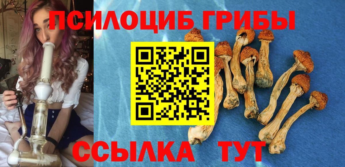 Галлюциногенные грибы мицелий Тимашёвск