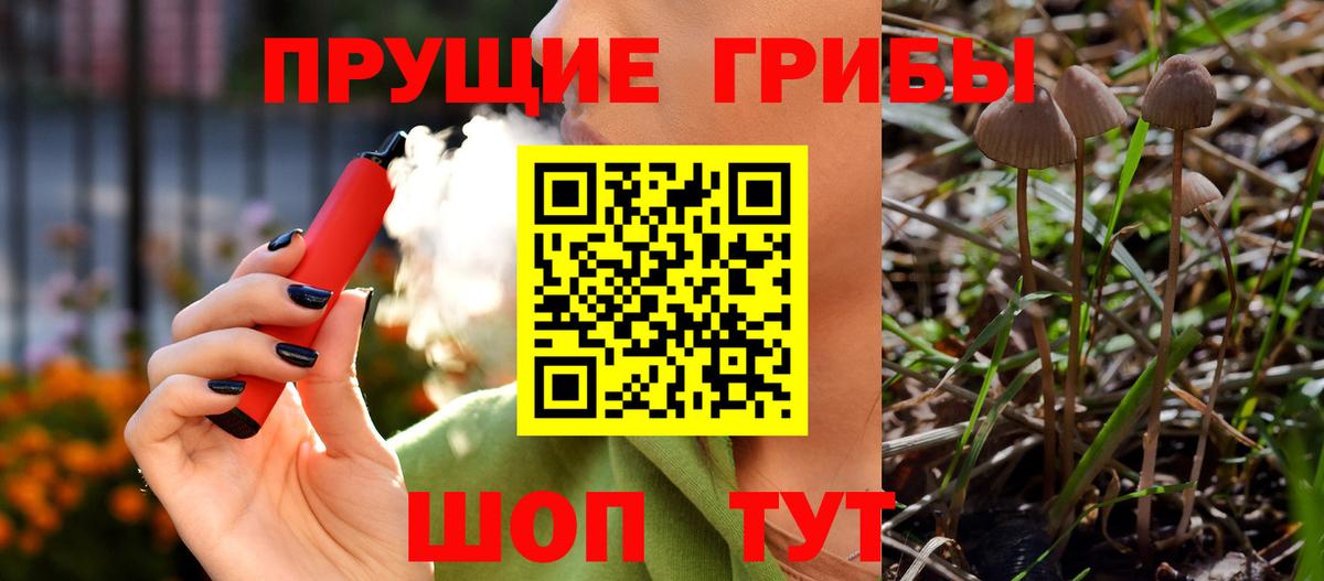 Галлюциногенные грибы Magic Shrooms  Вход с VPN  Тимашёвск  Галлюциногенные грибы ЛСД 