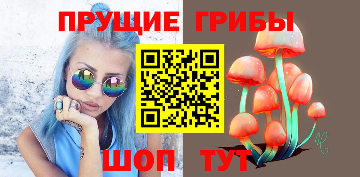 Псилоцибиновые грибы Cubensis  Вход с VPN  Тимашёвск 